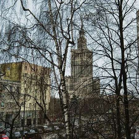 Prime Prive 65tv Ac Standing Desk King Bed Lägenhet